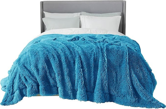 Bedsure GentleSoft Fluffy Bright Blue Blankets Queen Size for Bed, Thick Sherpa Faux Fur Fleece Fuzzy Plush Winter Warm Soft Queen Blankets, Bedroom Decor Blue Cozy Gifts for Women Men, 90x90-Ruum Studio Home