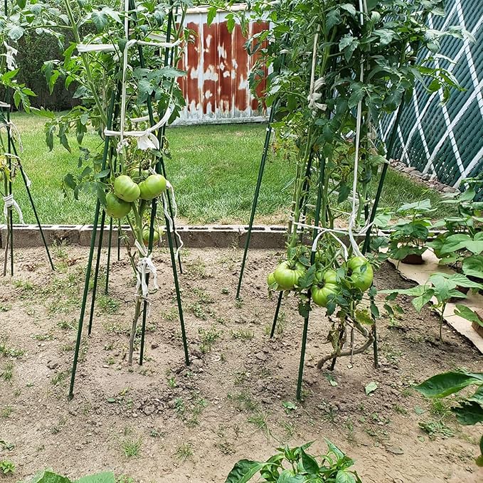 Garden Plant Stakes 57 Inch (Approx 5Ft) Steel Plant Stick Support, 25 Pack Tomato Stakes for Growing Climbing Plants, Potted Plants, Tomatoes, Trees, Cucumber, Beans, Fences Poles-Ruum Studio Home