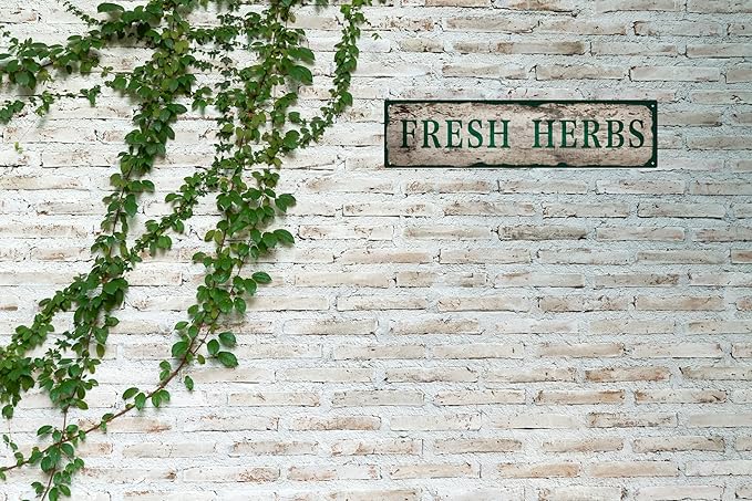 Vintage Tin Sign Retro Metal Fresh Herbs Signs for Home Decor Stylish Wall Art Plaques Gift for Home Bathroom Kitchen and Gothic Wall Decor in Every Room 16x4 in-Ruum Studio Home