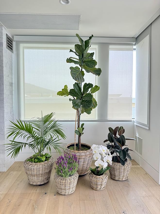 Rattan Kobo Indoor Outdoor Planter Basket with Plastic Pot Large 65 Gallon Soil Capacity-Ruum Studio Home