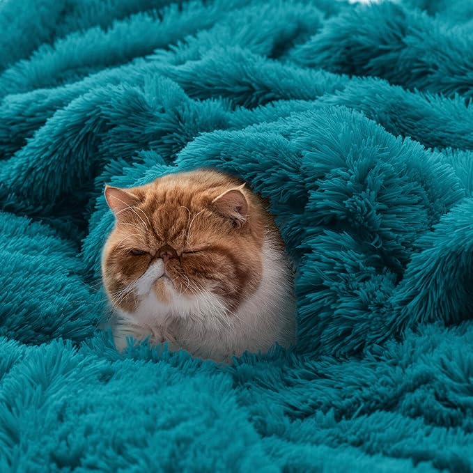 Bedsure GentleSoft Fluffy Turquoise Teal Blankets Queen Size for Bed, Thick Sherpa Faux Fur Fleece Fuzzy Plush Winter Warm Soft Full Queen Blankets, Bedroom Teal Decor Cozy Gifts for Women Men, 90x90-Ruum Studio Home