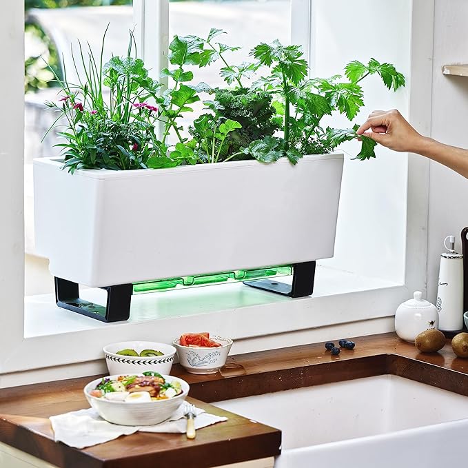 Glowpear Self-Watering Mini Bench Planter - 23.6" in Pot, Free Standing, UV Stable, Scalable, Indoor | Outdoor Pot with Water Gauge, for Home Kitchen Windowsill Gardening-Ruum Studio Home