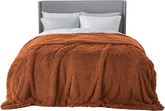 Bedsure GentleSoft Fluffy Burnt Orange King Size Blanket for Bed, Thick Soft Sherpa Faux Fur Fleece Bedding Fuzzy Plush Winter Warm Heavy Large King Blanket, Cozy Orange Gifts for Men Women, 108x90-Ruum Studio Home