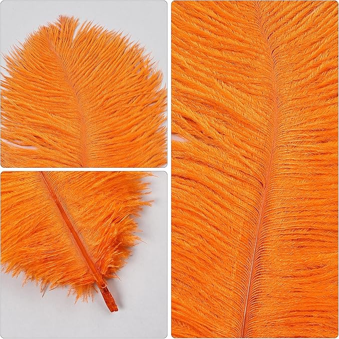THARAHT Orange Ostrich Feathers 12pcs Natural Bulk 10-12Inch 25cm-30cm for Crafts Wedding Party Centerpieces Halloween and Home Decoration Feathers-Ruum Studio Home