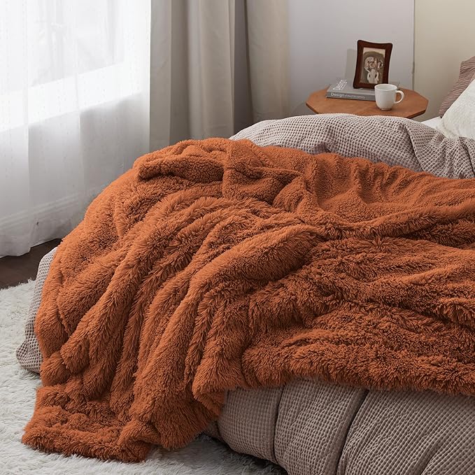 Bedsure GentleSoft Fluffy Burnt Orange Blankets Queen Size for Bed, Cozy Thick Sherpa Faux Fur Fleece Fuzzy Plush Winter Warm Soft Full Queen Blankets, Bedroom Decor Orange Gifts for Women Men, 90x90-Ruum Studio Home