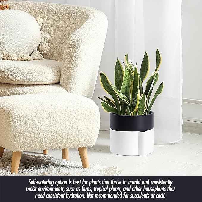 8 Inch Self-Watering Planter Pot with Terracotta Insert, Deep Water Reservoir, and Ceramic-Alike BPA-Free Plastic Planter Pot for Plant, Modern Planter for Houseplants, White/Black, 53-B-T-4-Ruum Studio Home