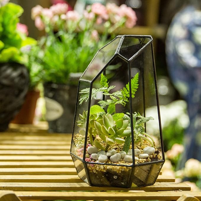 NCYP Small Glass Geometric Terrarium - 4.9 x 3.9 x 7.4 Inches Irregular Clear Planter Pot for Succulents, Cactus, Indoor Garden Tabletop Decoration, Centerpiece (No Plants, No Door)-Ruum Studio Home