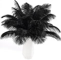THARAHT Black Ostrich Feathers 24pcs Natural Bulk 8-10Inch 20cm-25cm for Crafts Wedding Party Centerpieces Halloween and Home Decoration Feathers-Ruum Studio Home