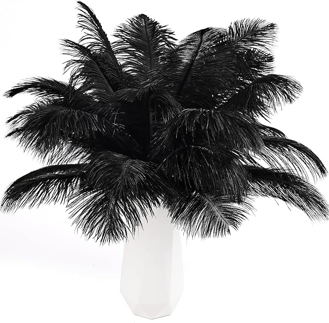 THARAHT Black Ostrich Feathers 24pcs Natural Bulk 8-10Inch 20cm-25cm for Crafts Wedding Party Centerpieces Halloween and Home Decoration Feathers-Ruum Studio Home