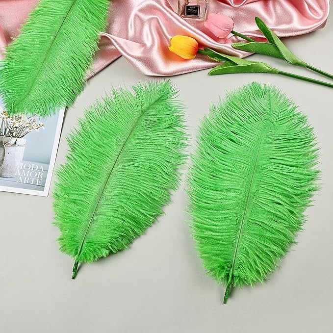 THARAHT Green Ostrich Feathers 12pcs Natural Bulk 8-10Inch 20cm-25cm for Crafts Wedding Party Centerpieces Mardi Gras and Home Decoration Feathers-Ruum Studio Home