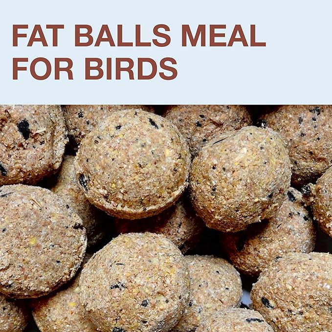 SWISSINNO No Mess Bird Feeder Lucerne Smart Birds for Fat Balls - Feed Birds, not mice & Rats! Robust & Reliable for Hanging - Made in EU - Light Blue-Ruum Studio Home