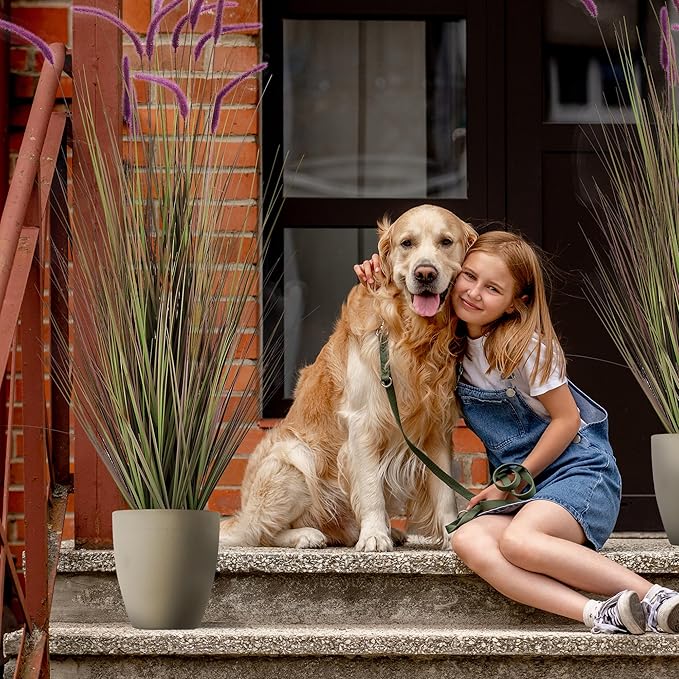 KOL Artificial 5ft 2-Pack Horsetail Reed Grass, 59in Tall Artificial Indoor Outdoor Fake Grass Plant, Home Office Décor Artificial Plants in Pot Faux Plant Greenery, Wedding Decor, Purple-Ruum Studio Home