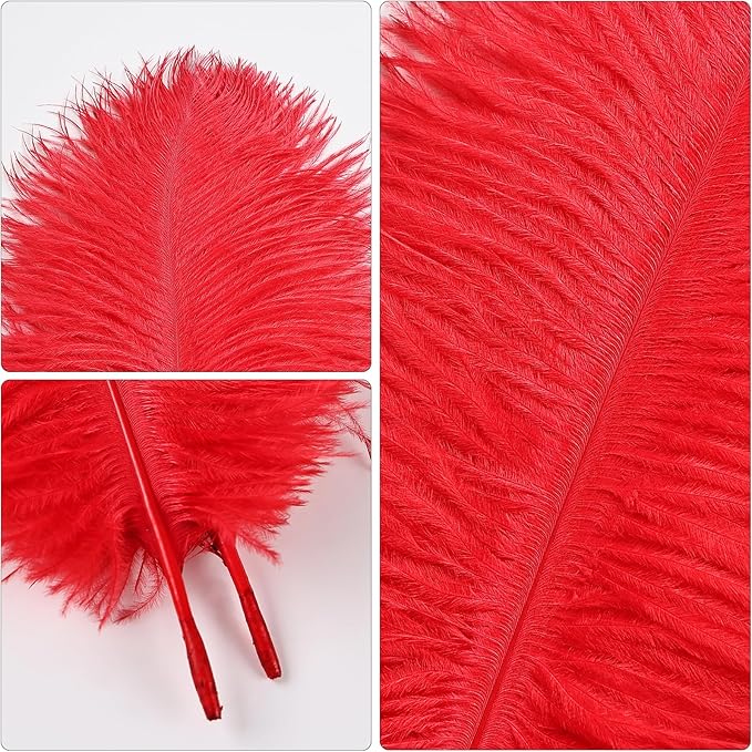 THARAHT Red Ostrich Feathers 12pcs Natural Bulk 8-10Inch 20cm-25cm for Crafts Wedding Party Centerpieces Flower Arrangement Halloween and Home Decoration Feathers-Ruum Studio Home
