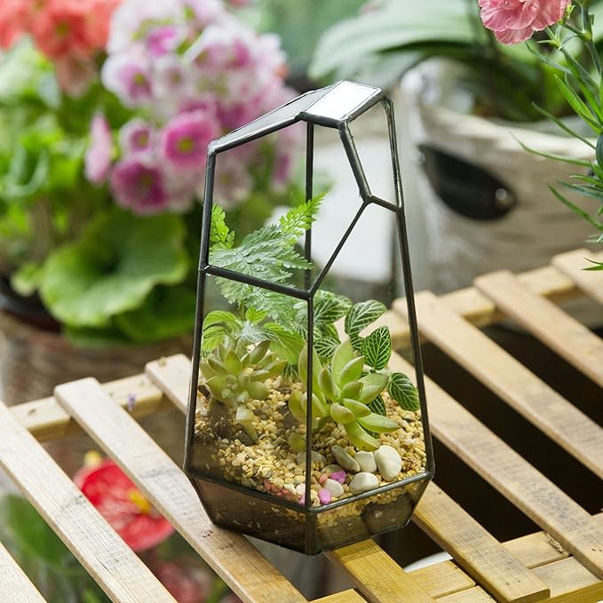 NCYP Small Glass Geometric Terrarium - 4.9 x 3.9 x 7.4 Inches Irregular Clear Planter Pot for Succulents, Cactus, Indoor Garden Tabletop Decoration, Centerpiece (No Plants, No Door)-Ruum Studio Home