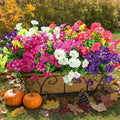 Artificial Flowers for Outdoors Fake Plants Outside Decoration, 12 Bundles Silk Colorful Morning Glory with Eucalyptus UV Resistant Realistic Faux Flowers for Planter Porch Patio Yard Garden-Ruum Studio Home