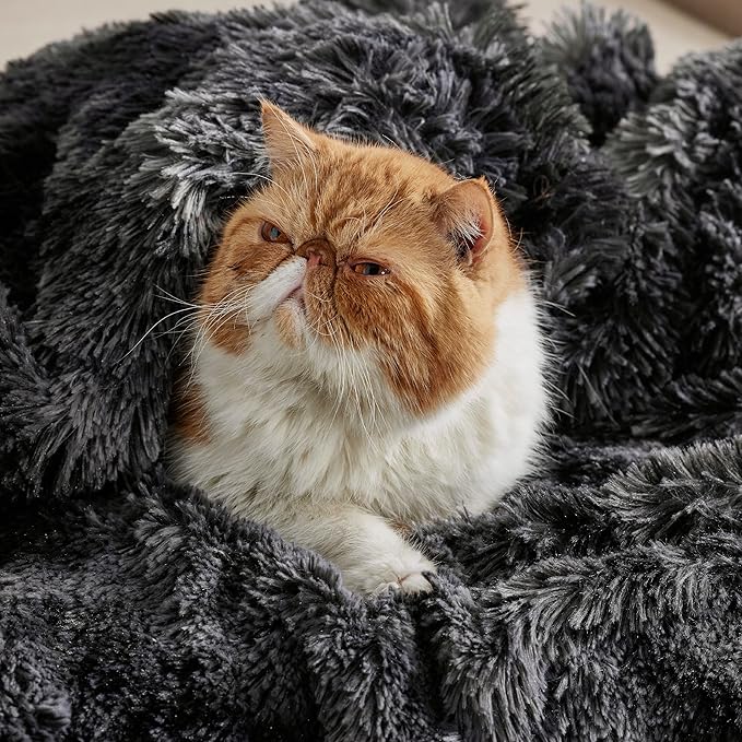 Bedsure GentleSoft Fluffy Black Blanket Cozy Gifts for Men, Black Home Decor Soft Fuzzy Plush Thick Warm Sherpa Fleece Faux Fur Throw Blanket for Couch Bed, Living Room College Dorm Decor, 50x60-Ruum Studio Home