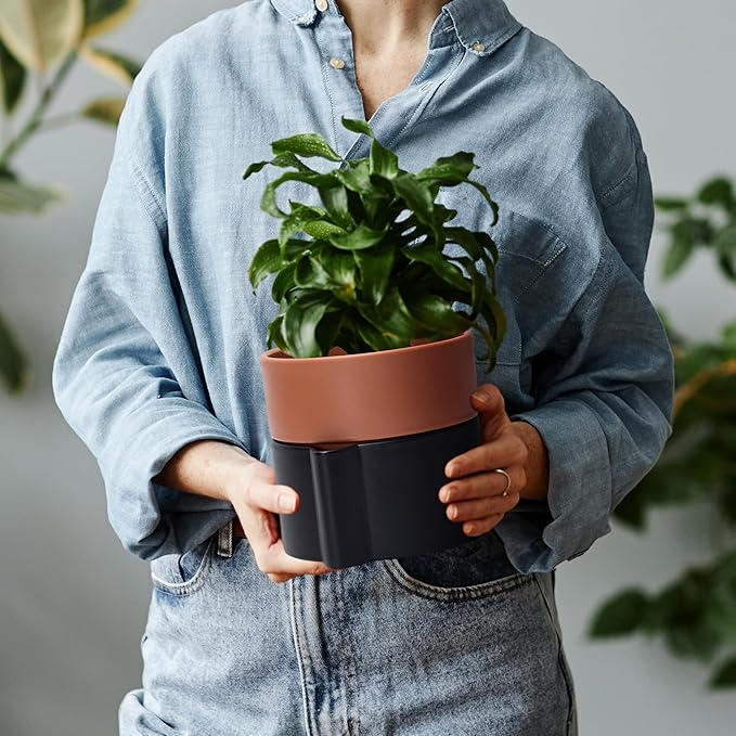 6.5 Inch Self-Watering Planter Pot with Terracotta Insert, Deep Water Reservoir, and Ceramic-Alike BPA-Free Plastic Pot for Plant, Modern Planter for Houseplants, Black/Terracotta, 53-B-S-5-Ruum Studio Home