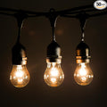 Hometown Evolution, Inc. 100 Foot E26 Outdoor Commercial String Lights with Suspended Socket for Weatherproof Heavy Duty Vintage Outside Lighting - Set of 50 A15 Clear Bulbs-Ruum Studio Home