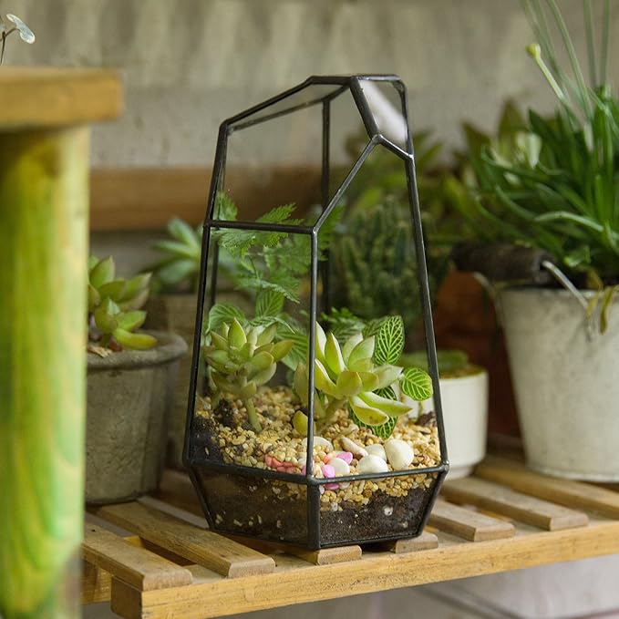 NCYP Small Glass Geometric Terrarium - 4.9 x 3.9 x 7.4 Inches Irregular Clear Planter Pot for Succulents, Cactus, Indoor Garden Tabletop Decoration, Centerpiece (No Plants, No Door)-Ruum Studio Home
