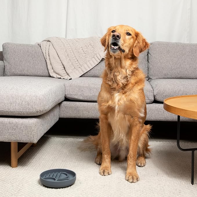 The Slowdown Bowl Silicone Slow Feeder for Dogs & Puppies, Slow Eating Modern Lick Mat Design, Reduces Gulping, Fits 2 Cups 7.5” Across x 1.5” Tall, Mealtime Challenge, Medium-Charcoal-Ruum Studio Home