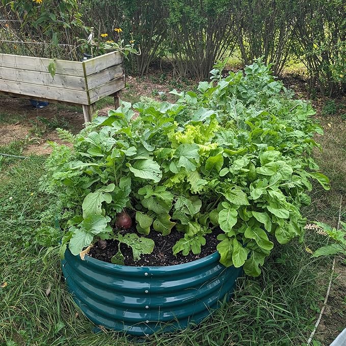 1 Pack 8x3x1.5FT Galvanized Raised Garden Bed Kit Oval Metal Ground Planter Box Outdoor Bottomless Planter Raised Beds for Vegetables Flowers Herbs Fruits, Green-Ruum Studio Home