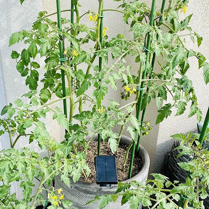 Garden Plant Stakes 36 Inch 3Ft Steel Plant Stick Support, 25 Pack Tomato Stakes for Growing Climbing Plants, Potted Plants, Tomatoes, Trees, Cucumber, Beans, Fences Poles-Ruum Studio Home