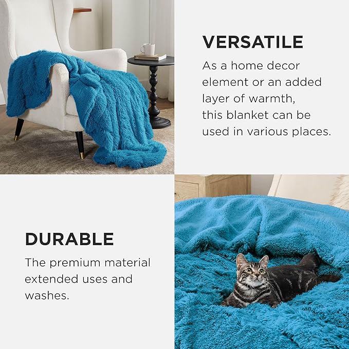 Bedsure GentleSoft Fluffy Bright Blue Blankets Queen Size for Bed, Thick Sherpa Faux Fur Fleece Fuzzy Plush Winter Warm Soft Queen Blankets, Bedroom Decor Blue Cozy Gifts for Women Men, 90x90-Ruum Studio Home