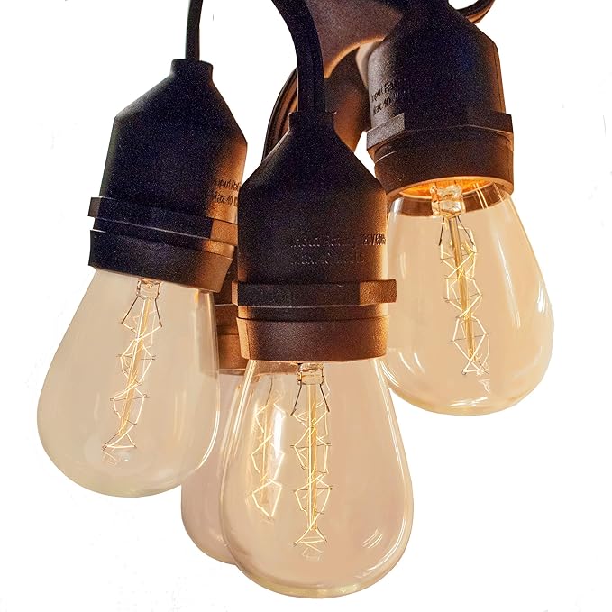 Hometown Evolution, Inc. E26 Outdoor Commercial String Lights with Suspended Socket for Weatherproof Heavy Duty Vintage Outside Lighting (S14 Zig Zag Edison 11 Watt Bulbs, 24 Foot 12 Socket)-Ruum Studio Home