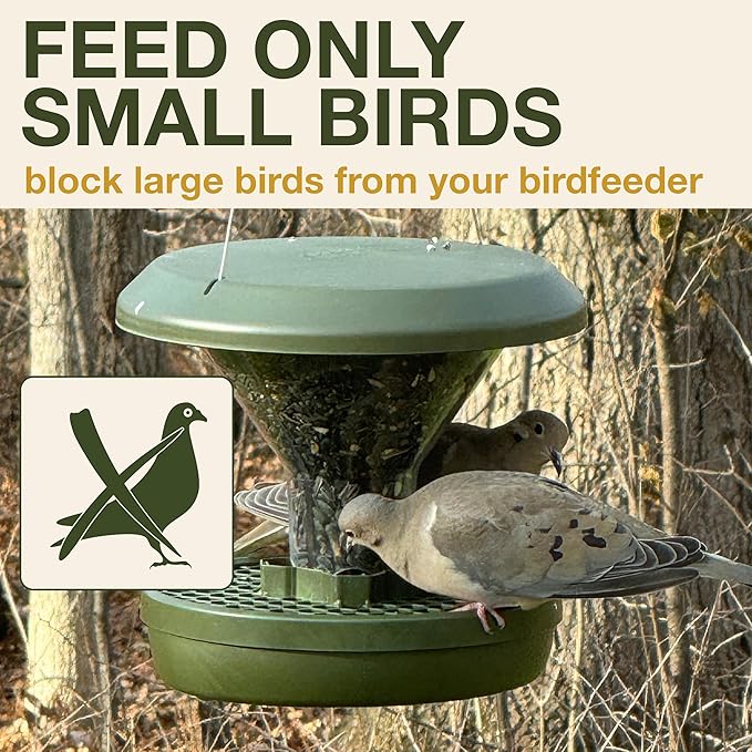 SWISSINNO Big Bird Blocker Ring, Transparent, Prevent Pigeons, Crows and Other unwanted Large Birds Scaring Away Smaller Birds, for Smart Bird Feeder Davos-Ruum Studio Home
