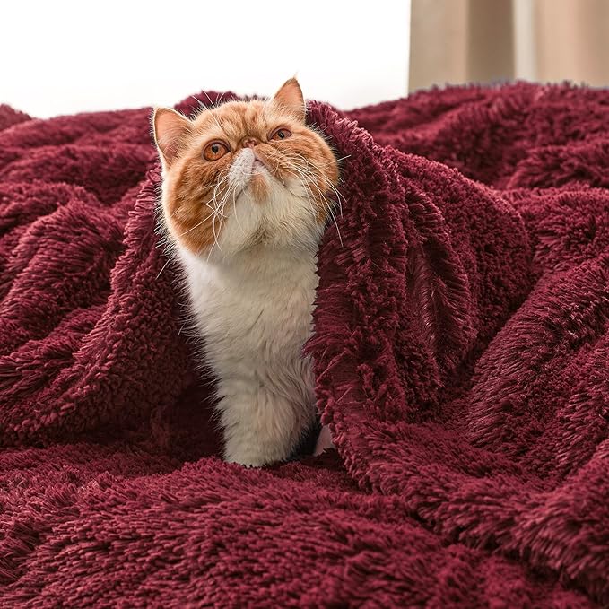 Bedsure GentleSoft Fuzzy Sherpa Faux Fur Twin Blanket Burgundy Red Cozy Gifts for Women Men, Soft Fleece Plush Warm Minky Thick Blanket Twin Size for Bed, Dorm Essentials Red Room Decor Gifts, 60x80-Ruum Studio Home