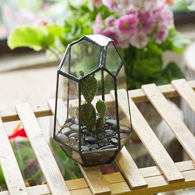 NCYP Small Geometric Terrarium - 4.1" x 3.5" x 5.9" Miniature Irregular Glass Terrarium Planter for Succulent Air Plants - Tabletop Garden Display Container, Black (No Plants, No Door)-Ruum Studio Home