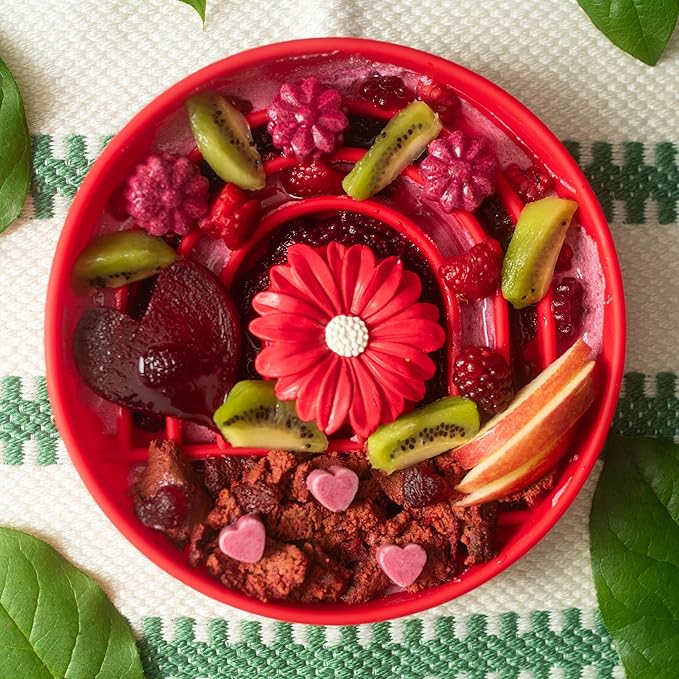 The Slowdown Bowl Silicone Slow Feeder for Dogs & Puppies, Slow Eating, Modern Lick Mat Design, Reduces Gulping, Fits 2 Cups 7.5” Across x 1.5” Tall, Mealtime Challenge, Medium-Cherry-Ruum Studio Home