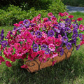 Artificial Flowers for Outdoors Fake Plants Outside Decoration, 12 Bundles Silk Colorful Morning Glory with Eucalyptus UV Resistant Realistic Faux Flowers for Planter Porch Patio Yard Garden-Ruum Studio Home