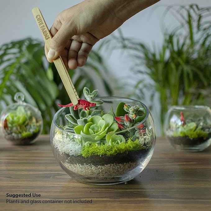 Cute Farms Terrarium Starter Kit | Moss, Vermiculite, Soil, Pebbles, Plant Food, Finishing Tools, Build and Care Guide | DIY Succulent Terrarium for Adults and Kids (Medium)-Ruum Studio Home