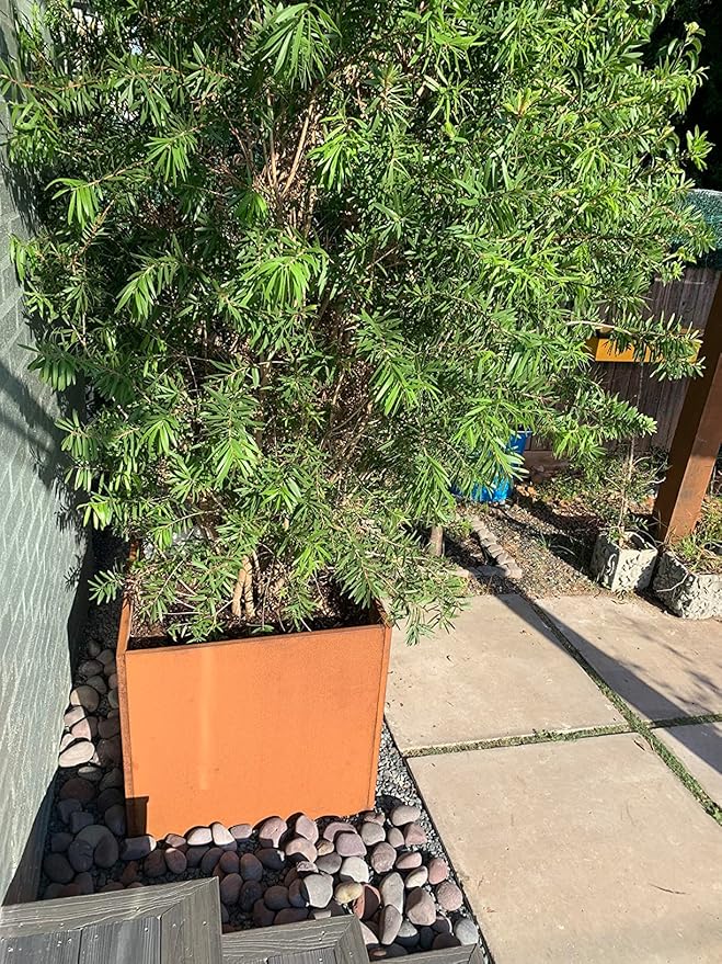 Corten Steel Planter Box Metal Square Planters Steel Large Planter Outdoor Tall Plant Durable Antique Detached for Commercial Residential Patio Deck and Backyard 26 Inch-Ruum Studio Home