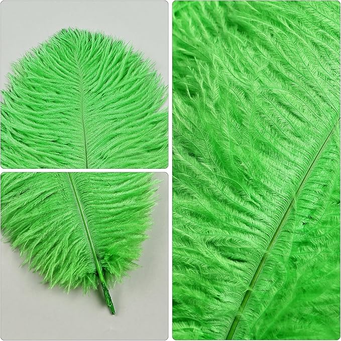 THARAHT Green Ostrich Feathers 12pcs Natural Bulk 8-10Inch 20cm-25cm for Crafts Wedding Party Centerpieces Mardi Gras and Home Decoration Feathers-Ruum Studio Home