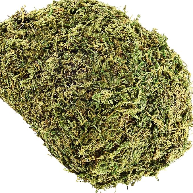 35 OZ Fake Moss for Potted Plants Artificial Moss for Fake Plants Faux Moss for Planters Decorative Moss for Craft and Home Decor…-Ruum Studio Home