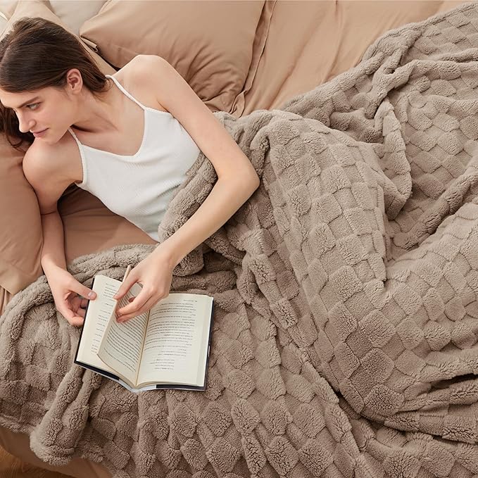Bedsure GentleSoft Blankets Queen Size for Bed - Super Soft Cozy Blanket for Women Men Girls, Large Fuzzy Fleece Throw for Bedroom Decor, Light Taupe, 90x90 Inches-Ruum Studio Home