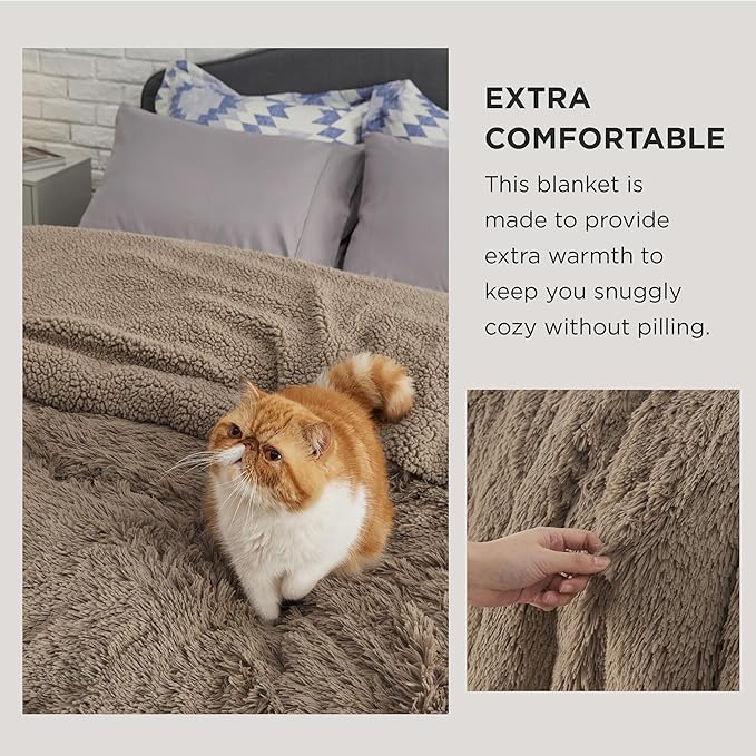 Bedsure GentleSoft Fluffy Light Chocolate Brown Throw Blanket, Brown Decor Cozy Gifts for Women Men, Soft Fuzzy Sherpa Fleece Plush Thick Warm Furry Faux Fur Throw Blanket for Couch, Bed, 50x60-Ruum Studio Home