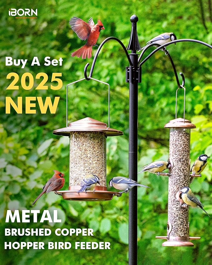 iBorn Bird Feeders for Outdoors Hanging,Metal Bird Feeders for Cardinal Chew Proof 18cm Large Roof&Tray Birdfeeders Outside Hanging,Brushed Copper 6 Port (Seed is not Included)-Ruum Studio Home