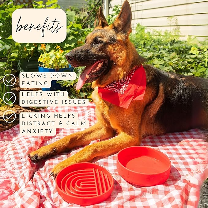 The Slowdown Bowl Silicone Slow Feeder for Dogs & Puppies, Slow Eating, Modern Lick Mat Design, Reduces Gulping, Fits 2 Cups 7.5” Across x 1.5” Tall, Mealtime Challenge, Medium-Cherry-Ruum Studio Home