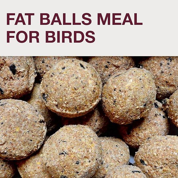 SWISSINNO No Mess Bird Feeder Lucerne Smart Birds for Fat Balls - Feed Birds, not mice & Rats! Robust & Reliable for Hanging - Light Grey-Ruum Studio Home