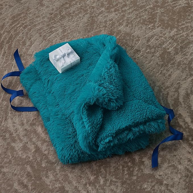 Bedsure GentleSoft Fluffy Turquoise Teal Blankets Queen Size for Bed, Thick Sherpa Faux Fur Fleece Fuzzy Plush Winter Warm Soft Full Queen Blankets, Bedroom Teal Decor Cozy Gifts for Women Men, 90x90-Ruum Studio Home