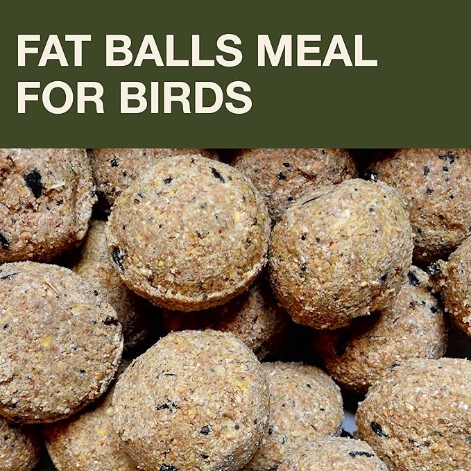 SWISSINNO No Mess Bird Feeder Lucerne Smart Birds for Fat Balls - Feed Birds, not mice & Rats! Robust & Reliable for Hanging - Green-Ruum Studio Home