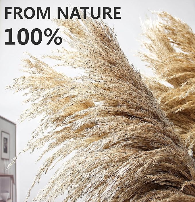 40" inch 10 Stems Pampas Grass Decor Tall, Pampas Grass Bouquet, Natural Dried Flowers for Wedding, Natural Home Decor, Wall Grass, Glam Decor-Ruum Studio Home
