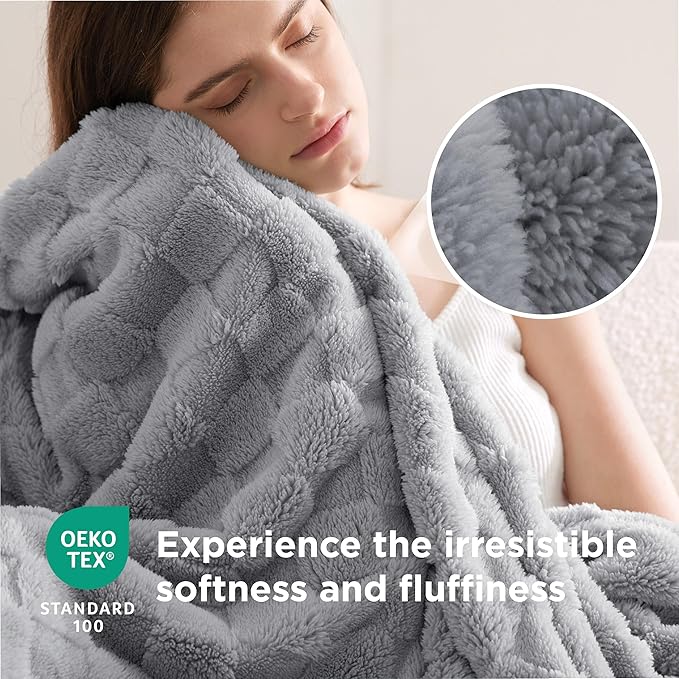 Bedsure GentleSoft Blankets Queen Size for Bed - Super Soft Cozy Blanket for Women Men Girls, Large Fuzzy Fleece Throw for Bedroom Decor, Silver Grey, 90x90 Inches-Ruum Studio Home
