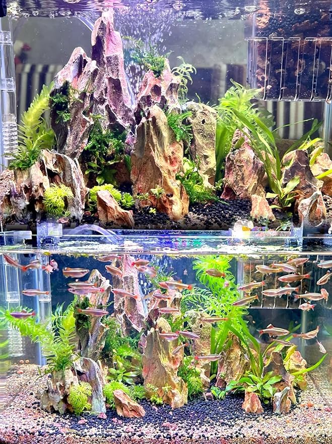 Dragon Rocks Aquarium Rock aquascaping Natural Stone Rocks Fish Tank Decor Rocks for Aquariums Landscaping Model Tank Decoration Aquarium Miniature -20Lb (2-8 inch)-Ruum Studio Home