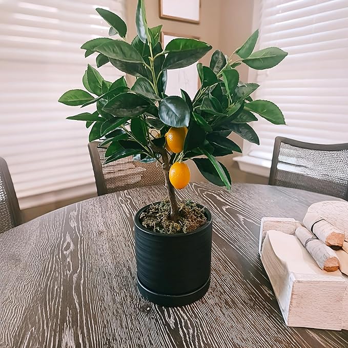 6 Inch Plant Pots, Ceramic Planter Pot with Drainage Hole & Saucer, Indoor/Outdoor Cylinder Round Planter Pot, Matte Black-Ruum Studio Home