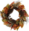 Admired By Nature 24 Inch Artificial Fall Magnolia Leaf Vine Berry Wreath Autumn Leaves For Wall Fornt Door Home Office Farmhouse Thanksgiving Harvest Cemetery Wreaths Indoor Outdoor, Orange-Pinecones-Ruum Studio Home