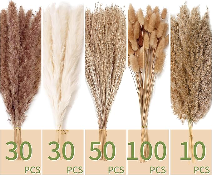 220 PCS Dried Flower Bouquet – Pampas Grass, Floral Decor for Home, Wedding, and Boho Style | Perfect for Vases, Fall, Spring, Summer, and Winter Arrangements-Ruum Studio Home